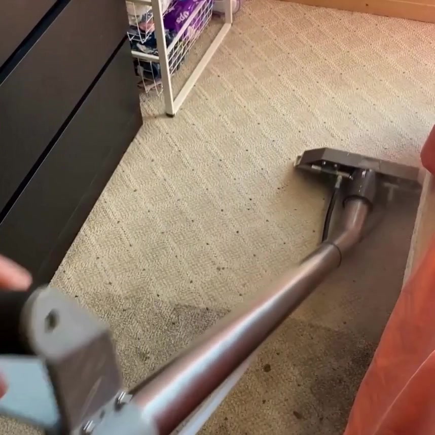 3 Rooms Carpet Cleaning Special + FREE Deodorizer 👉