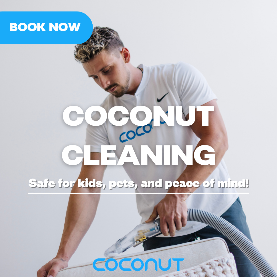 Eco-Friendly Carpet, Tile & Couch Cleaning – Real Results, Real Savings!