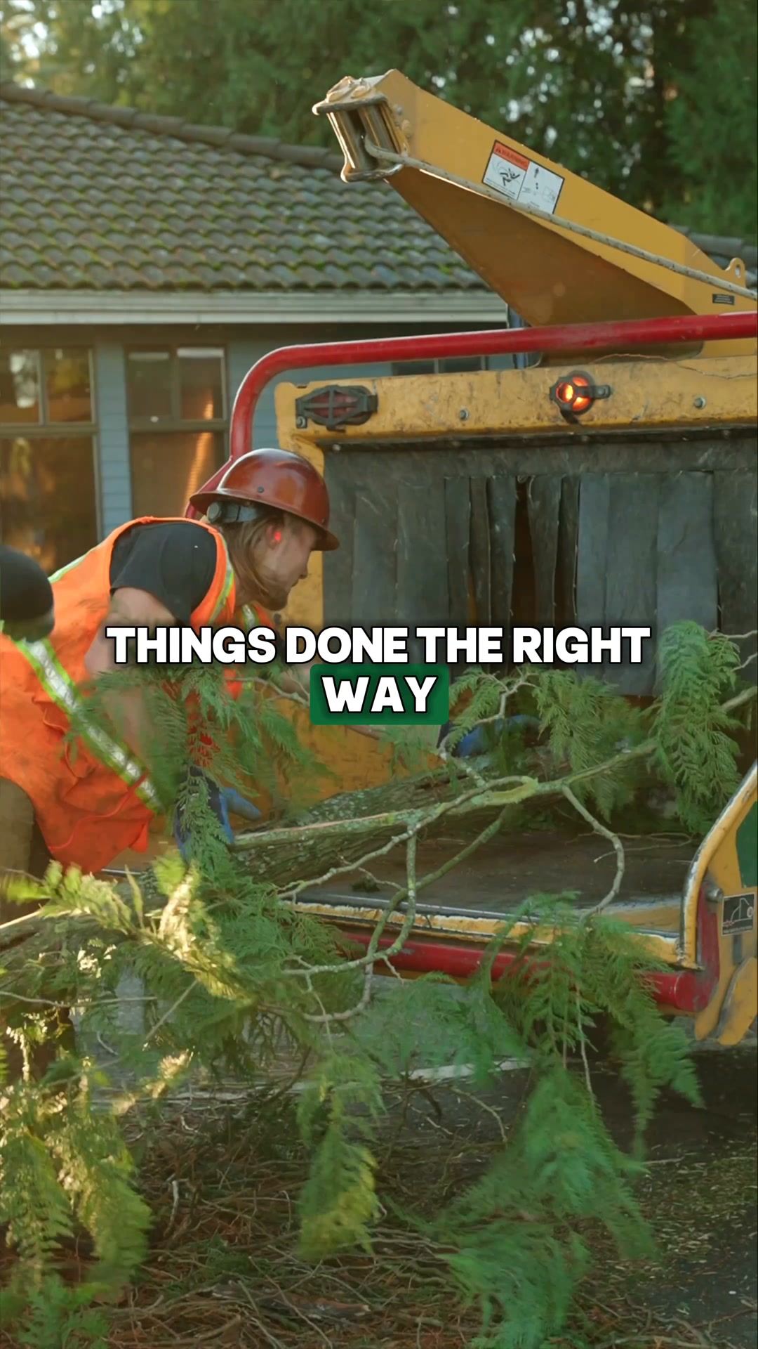 24/7 Emergency Tree Removal
