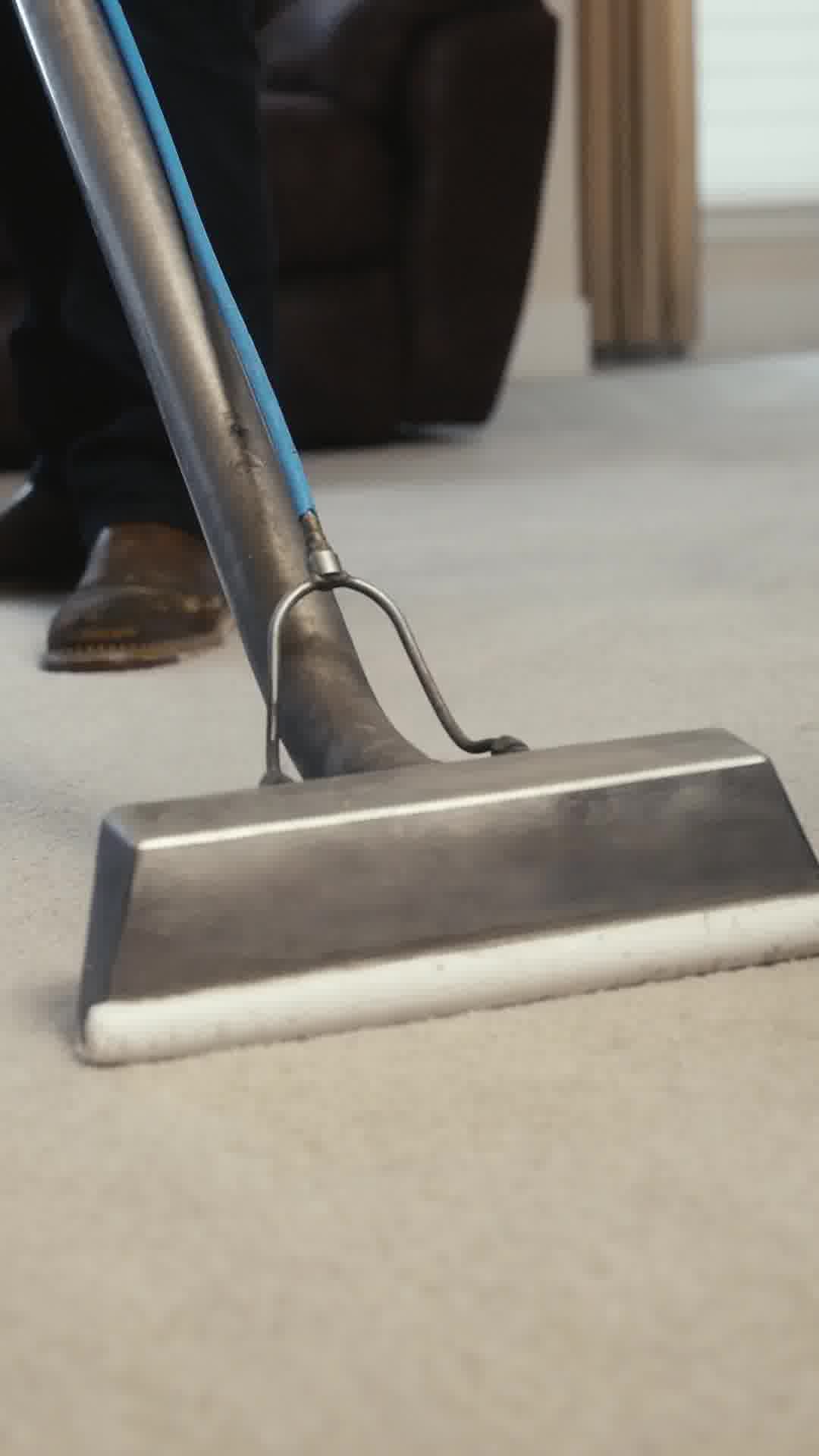 Think your carpet’s too far gone? Think again.