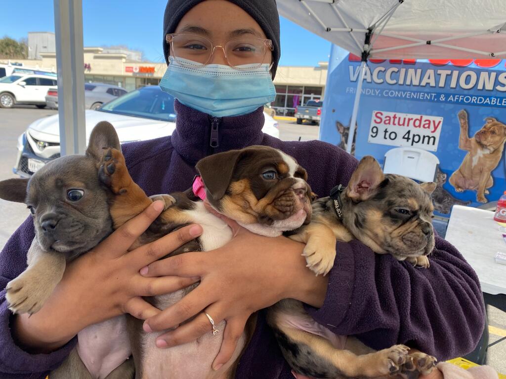 Low Cost Pet Vax near you