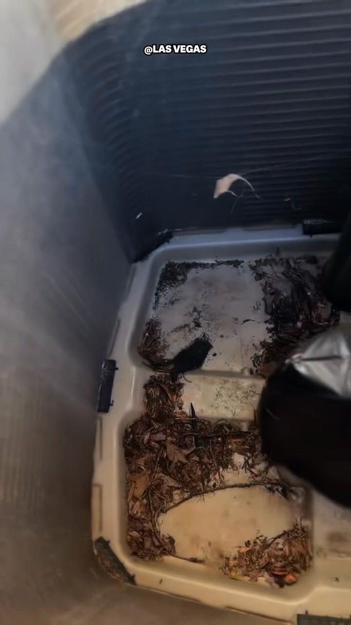 Vegas Homeowners: Don’t Get Left in the Cold!