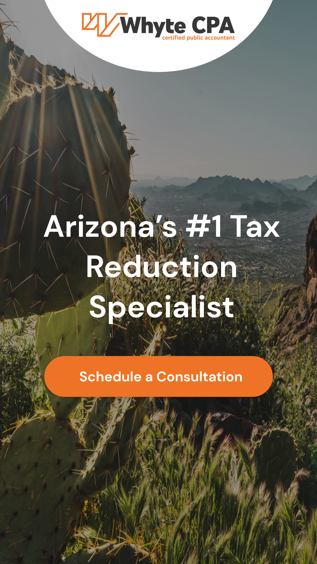 Devin Whyte, CPA PC Accountant ad creative