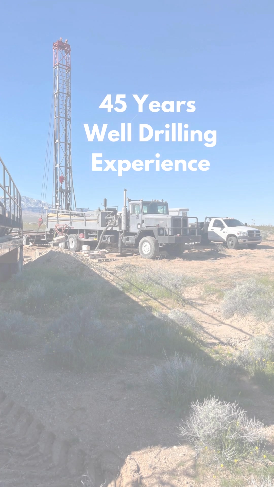 Satisfaction Guaranteed