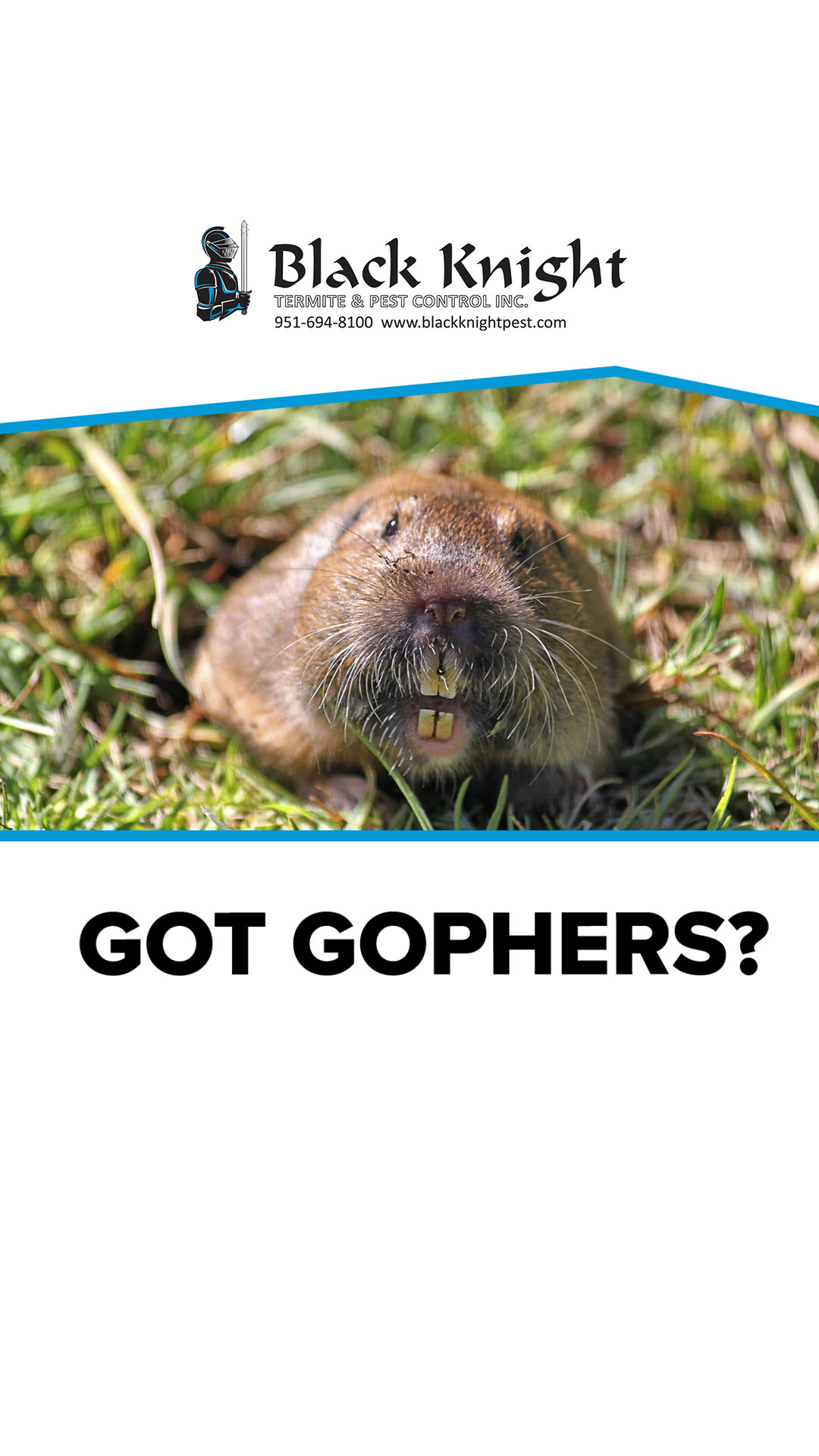 Got Gophers?