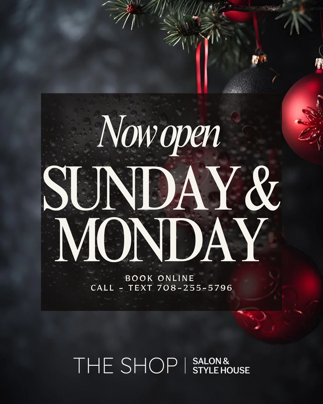 The Shop Salon & Style House Hair Salon ad creative