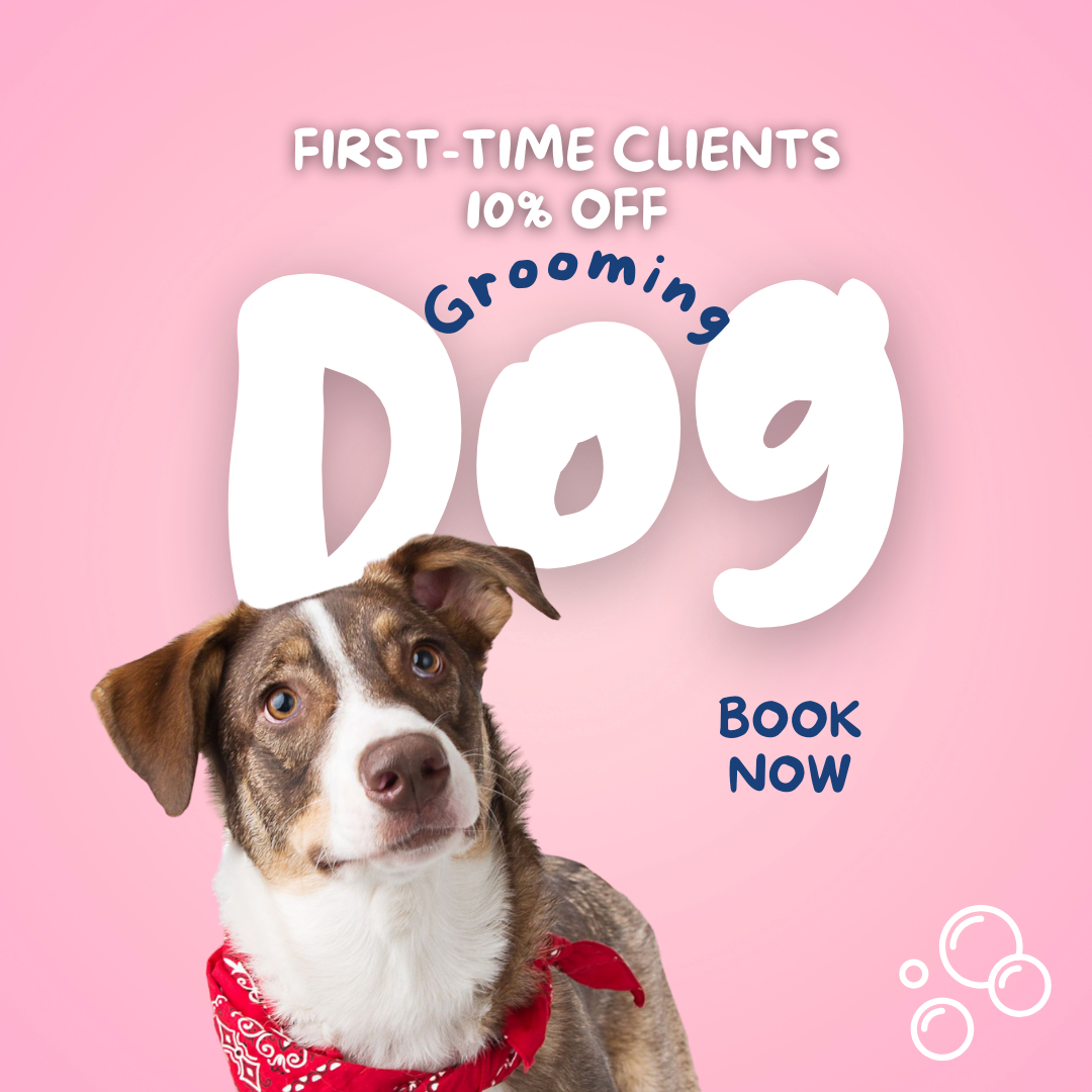 Popcorn Pawss Pet Grooming ad creative