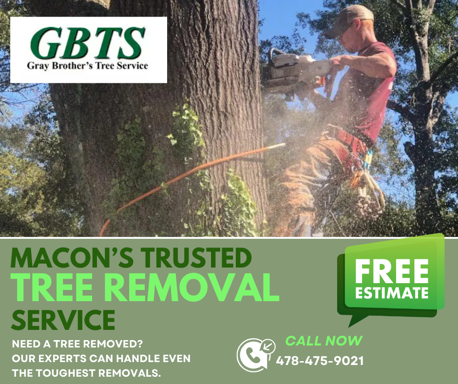Trusted Tree Removal