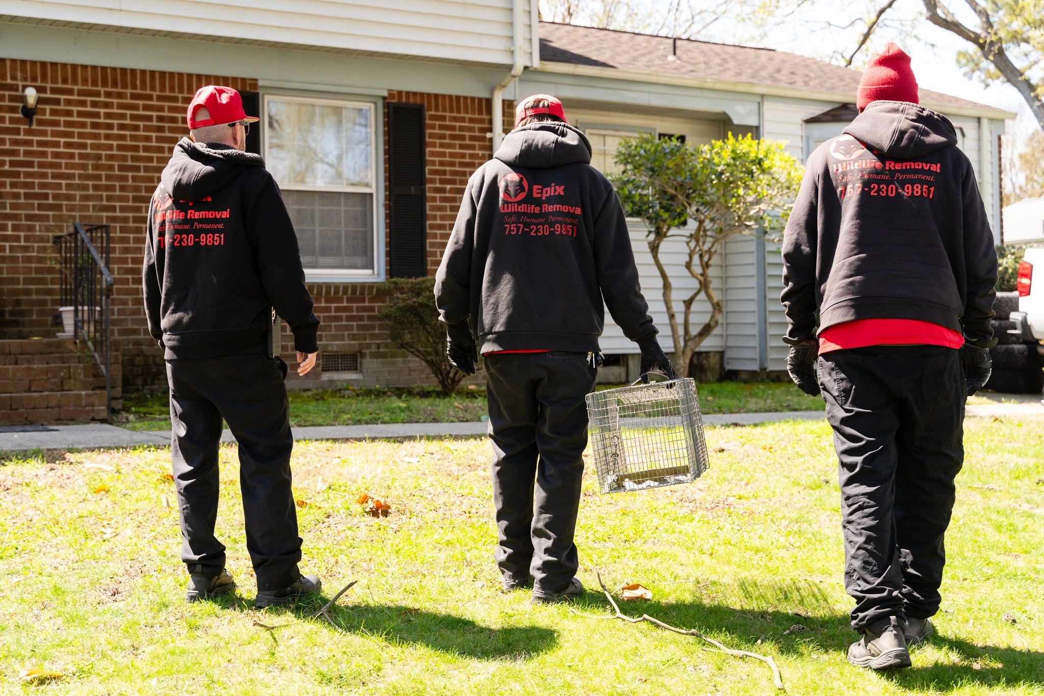 Epix Wildlife Removal Pest Control ad creative