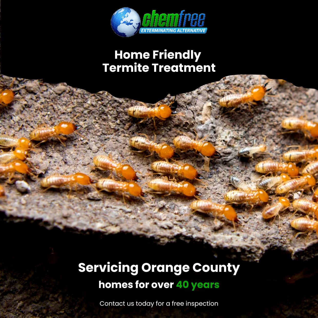 Free Home Termite Inspection