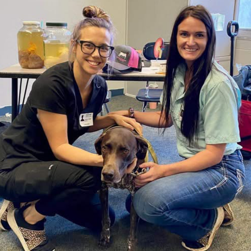 Guadalupe Valley Veterinary Clinic Gonzales Texas