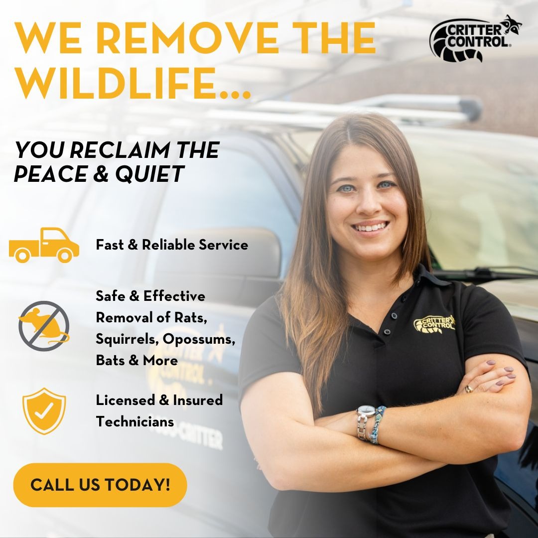Fast & Reliable Wildlife Removal