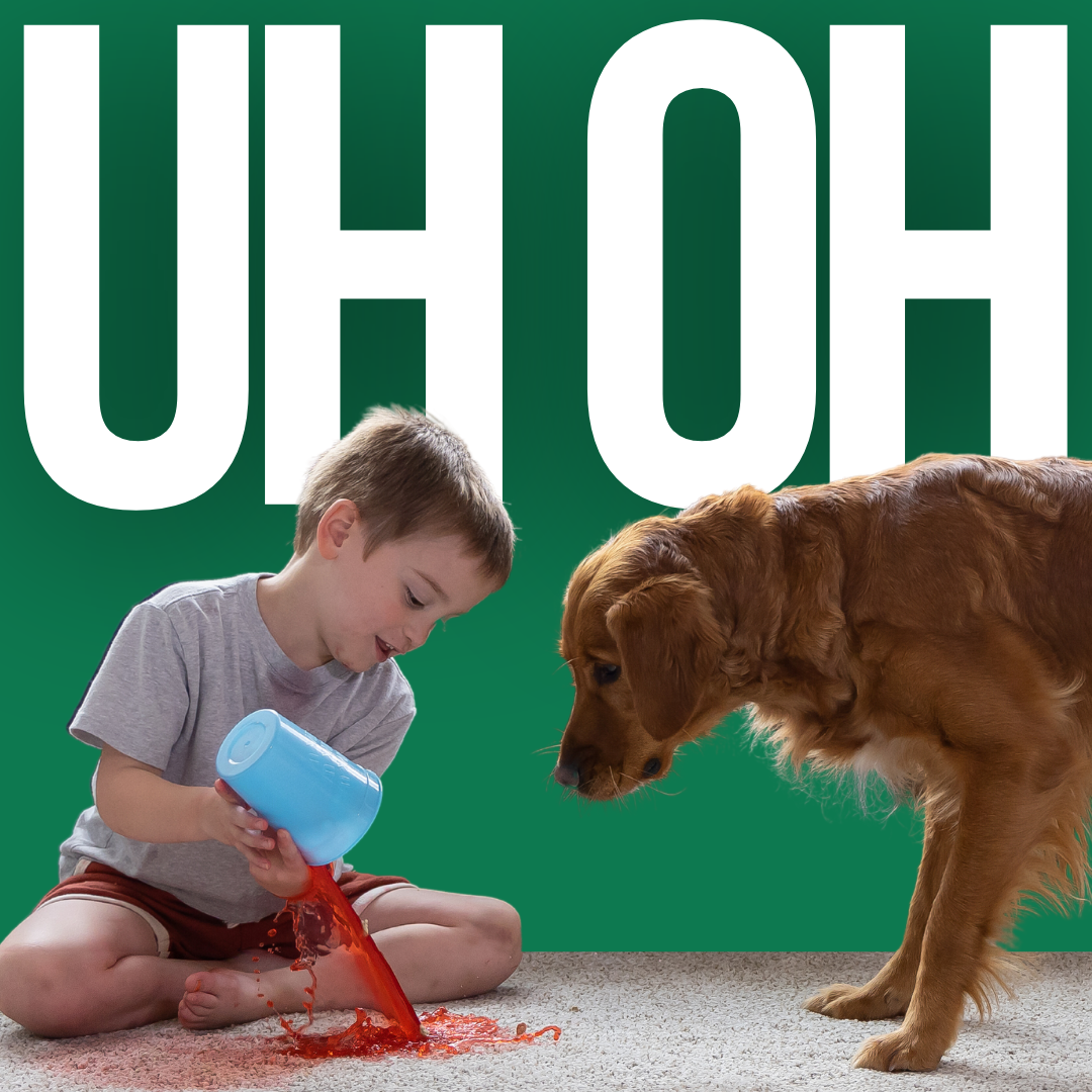 Chem-Dry Carpet Cleaning ad creative