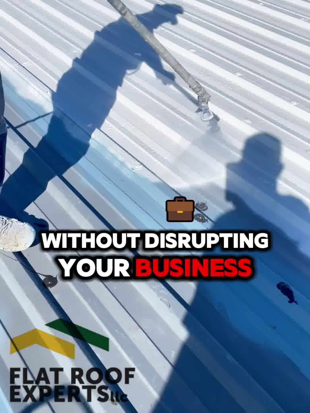 Flat Roof Expert's Roofing ad creative