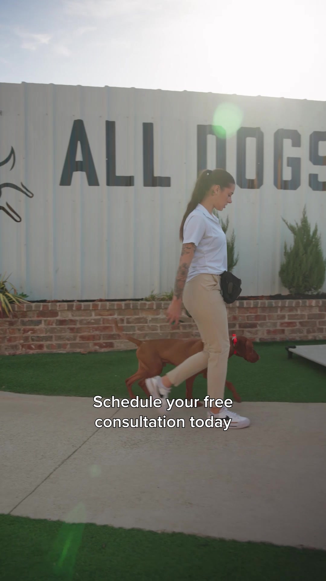 Struggling With Your Dog’s Behavior?