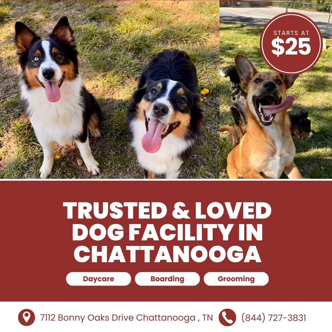 Today’s Pet Care Pick: The Ranch at Bonny Oaks