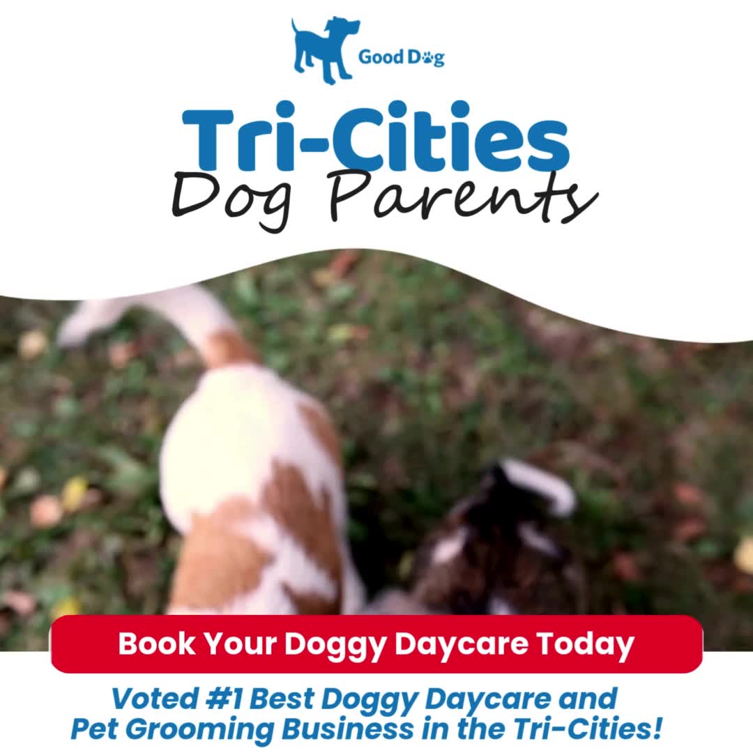 Trusted by Thousands of Tri-Cities Dog Parents