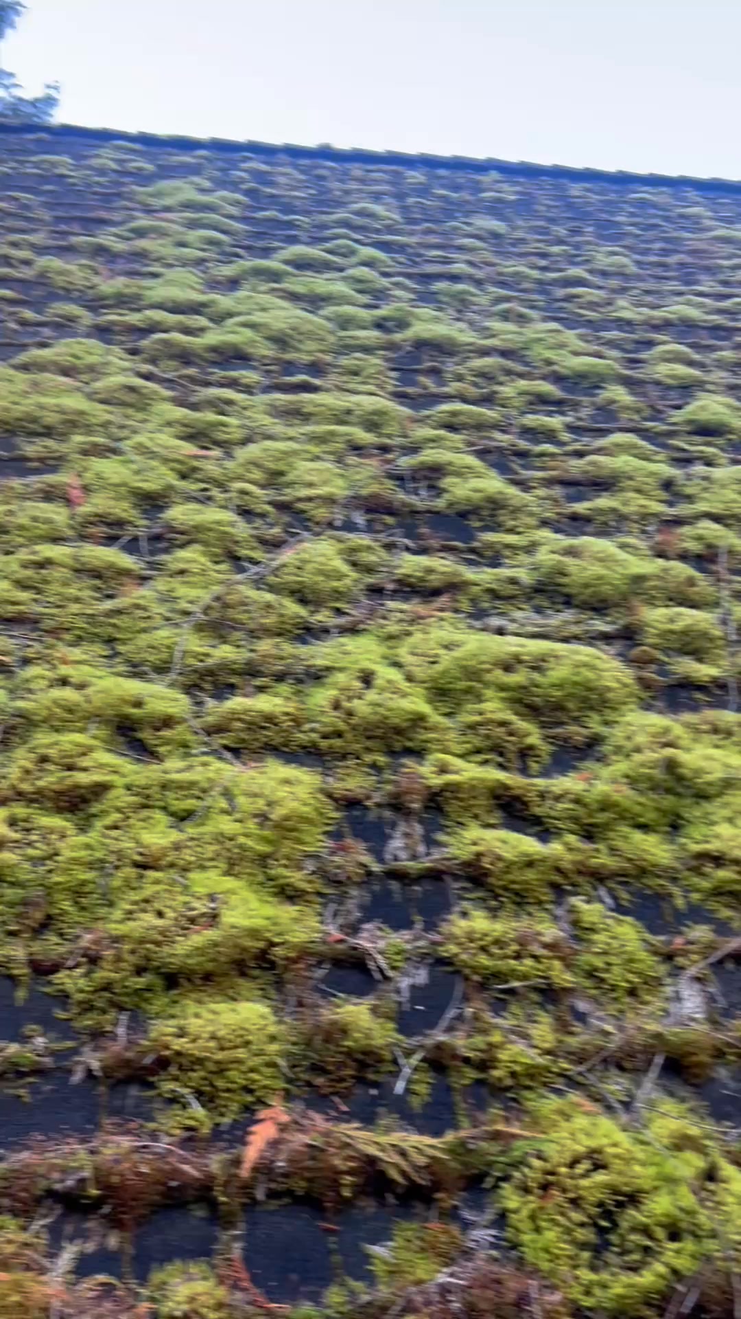 Get a FREE quote! 👉