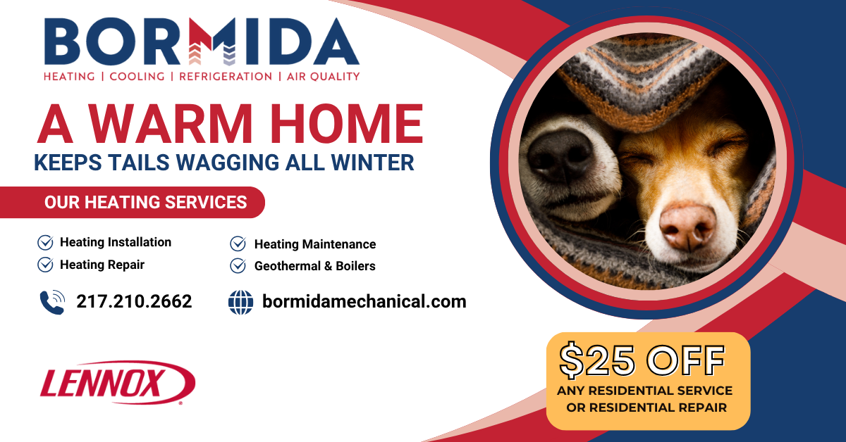 Keep Your Pets Cozy All Season Long