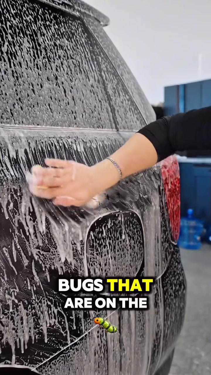 #1 Choice for PPF, Wraps & Ceramic Coatings! 🏆🔥