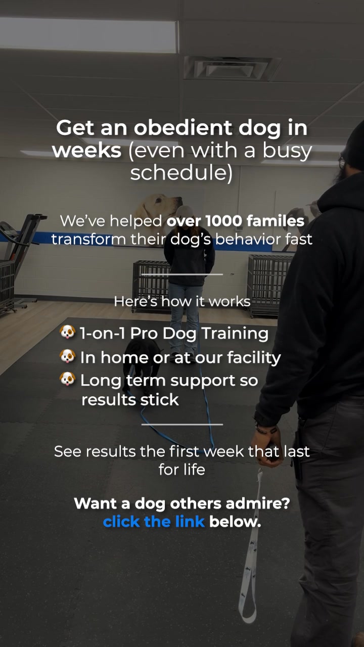 Get Your Free Training Consultation