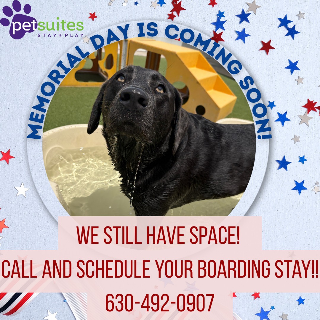 PetSuites St. Charles