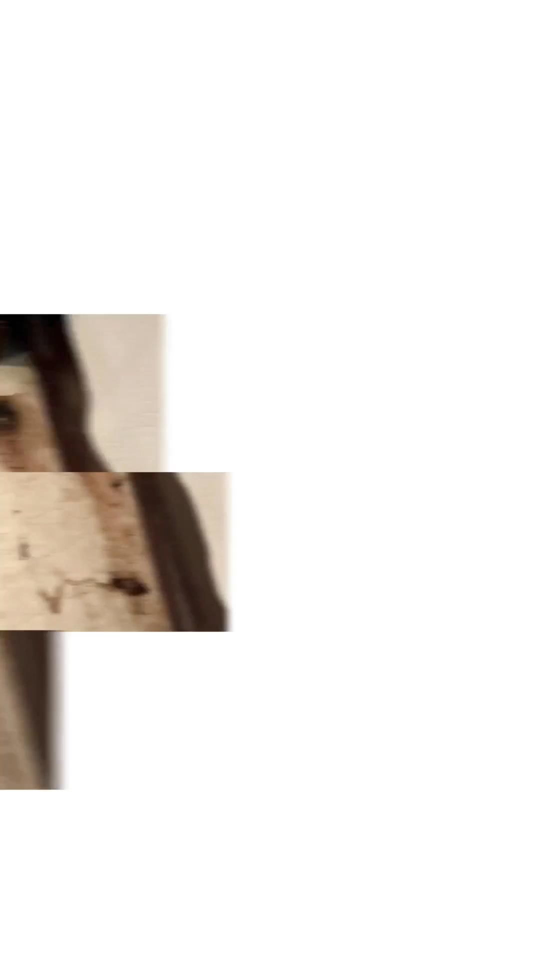 Discover the power of expert carpet cleaning!