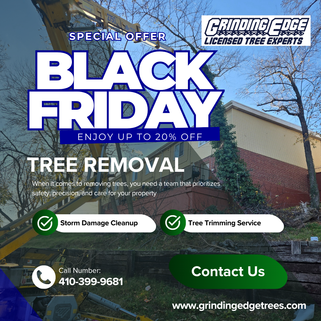 Save UP TO 20% on tree removal services!