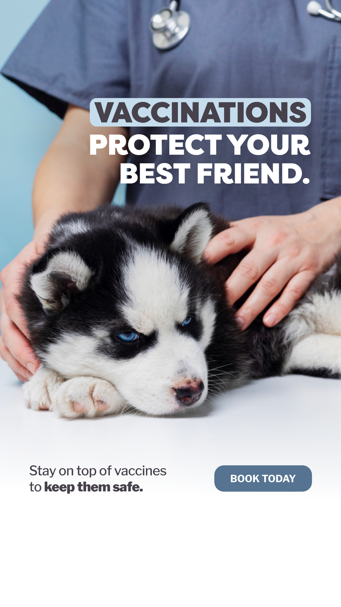 Is Your Pet Protected?