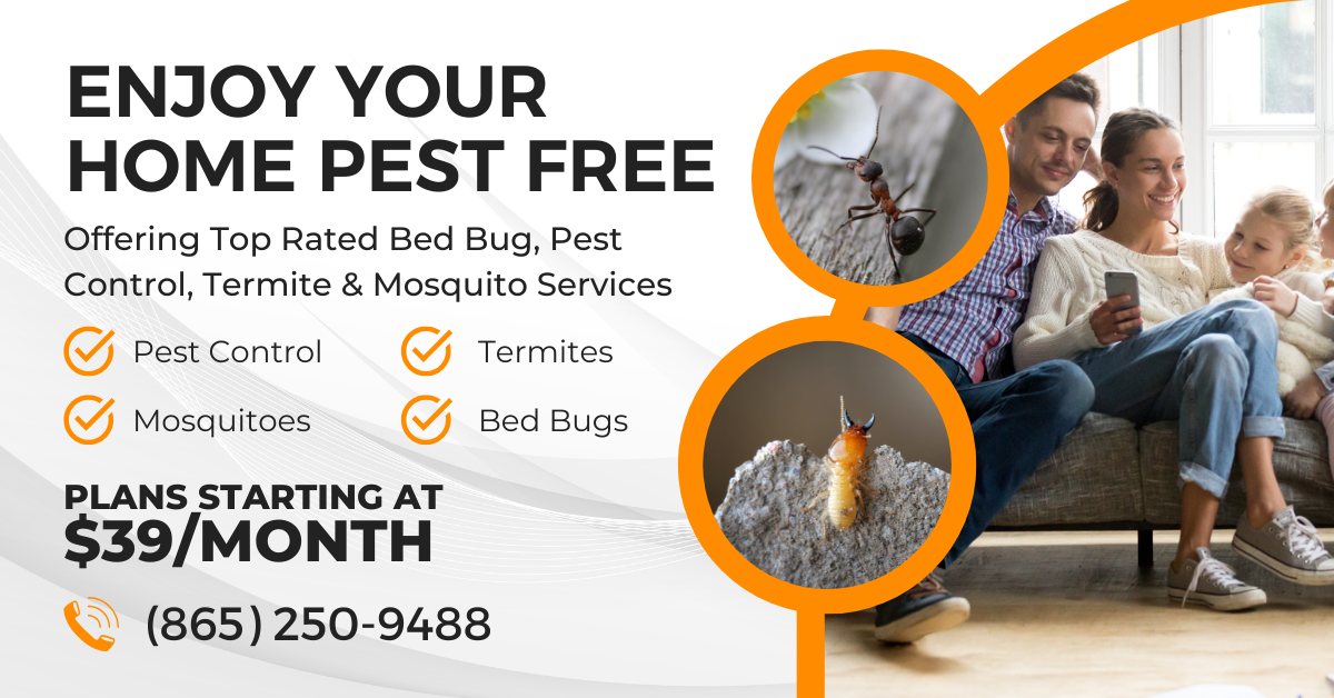 Plans Starting At $39