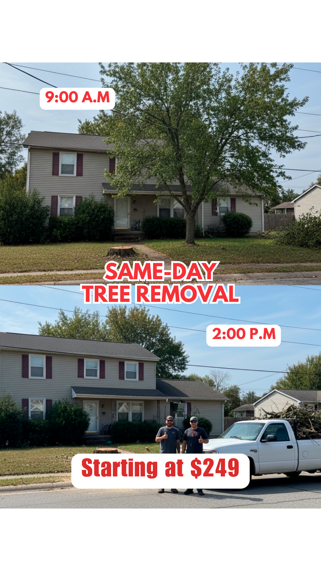 Voolt Pro Tree Services Tree Service ad creative