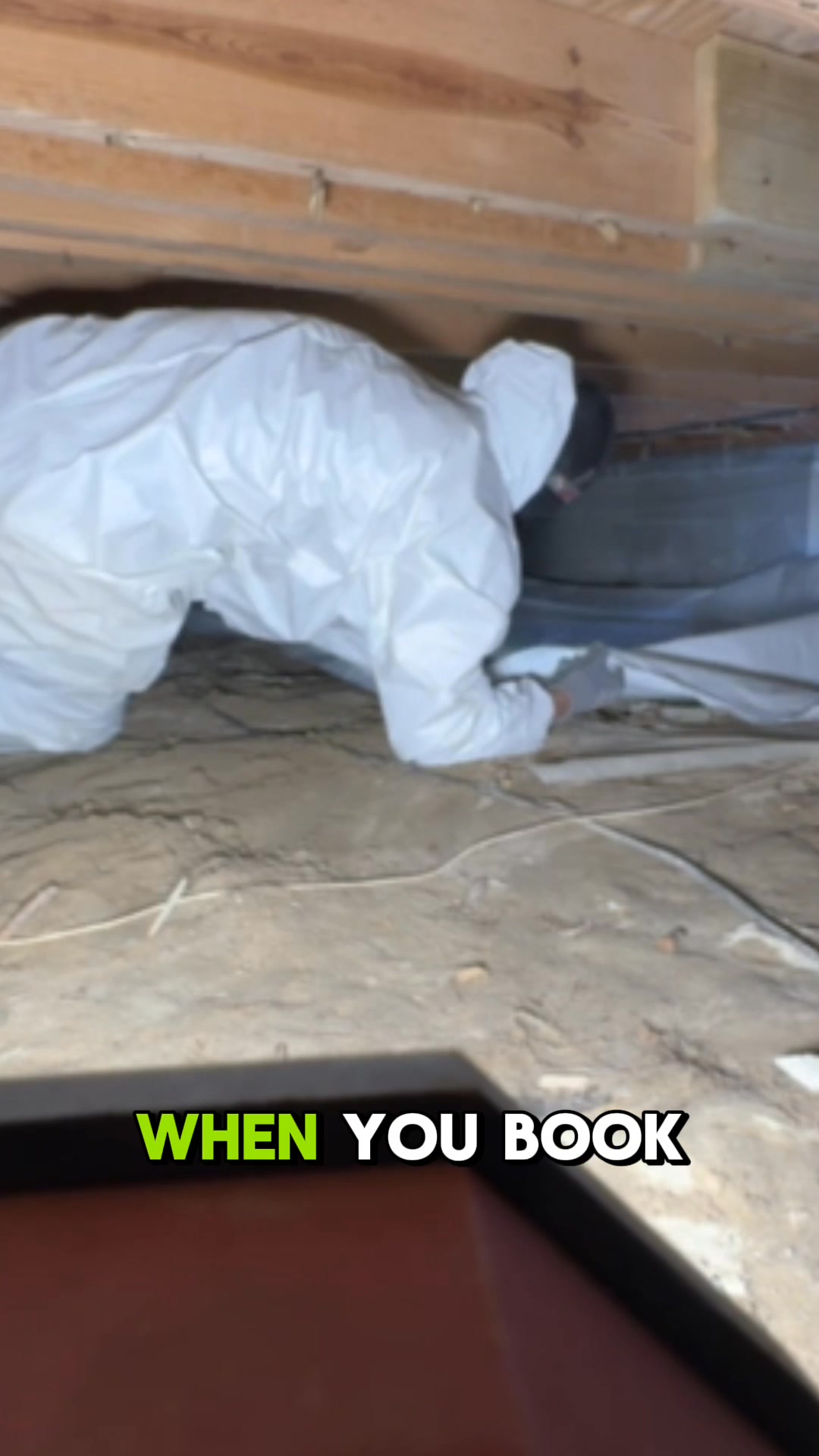 Stop Ignoring That Musty Basement Smell