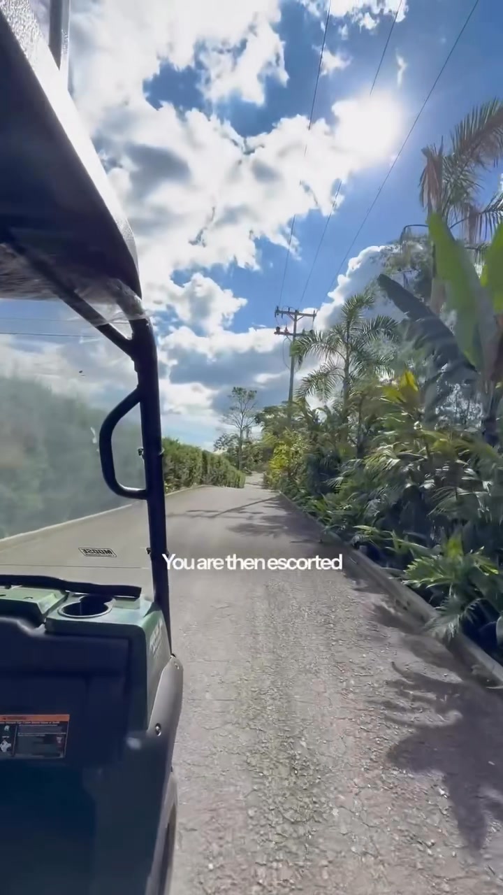 Heal Your Body Naturally with Stem Cells