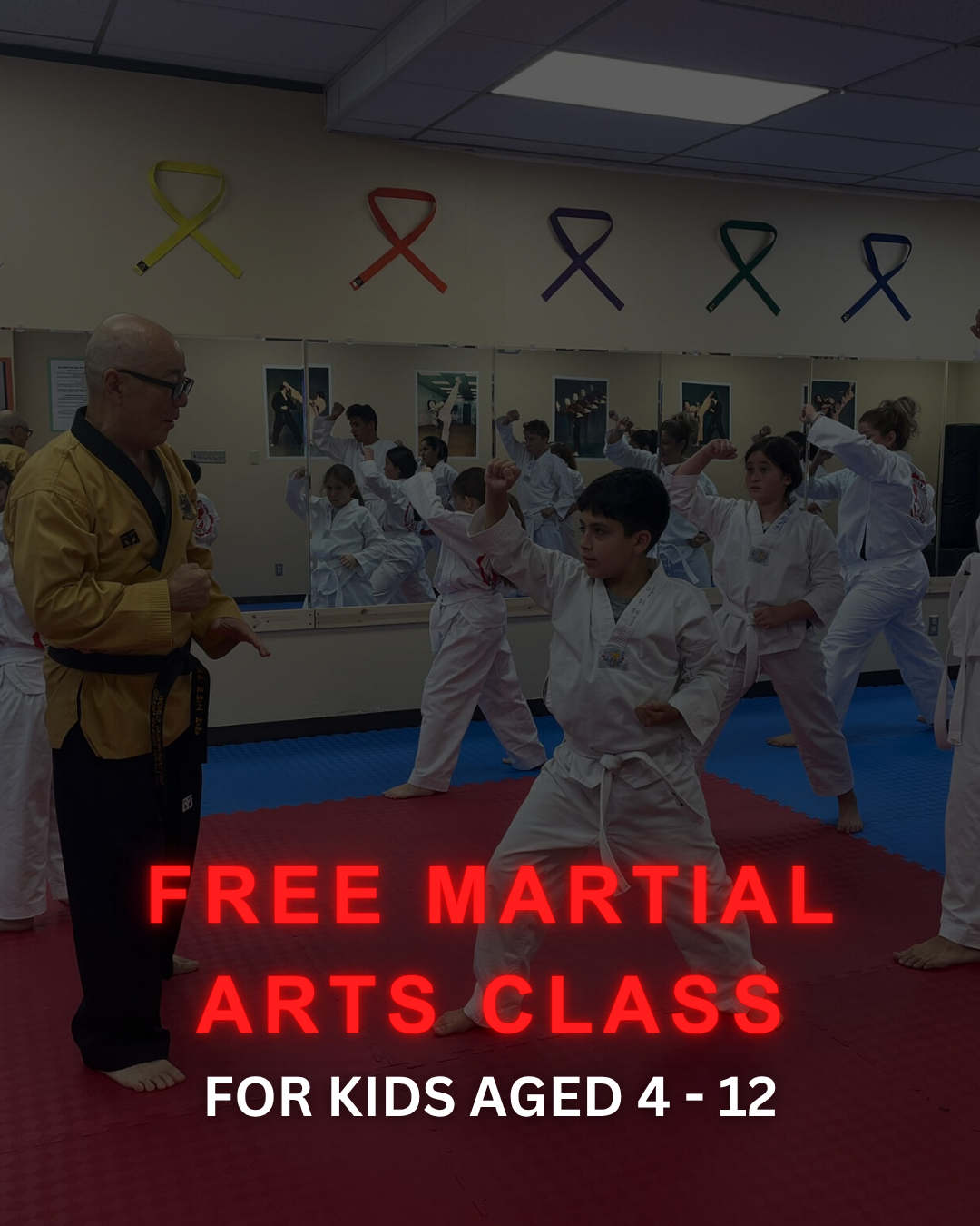 Grand Master Lee Tae Kwon Do Martial Arts ad creative