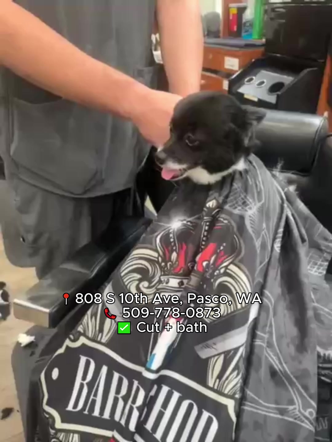 Tri-Citys Grooming Pros Pet Grooming ad creative