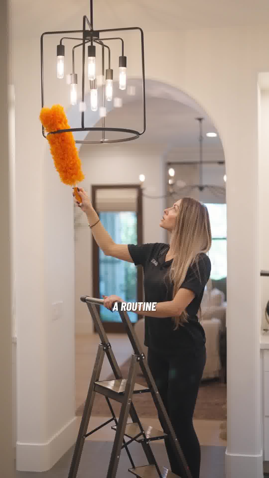 Zebra Cleaning House Cleaning ad creative