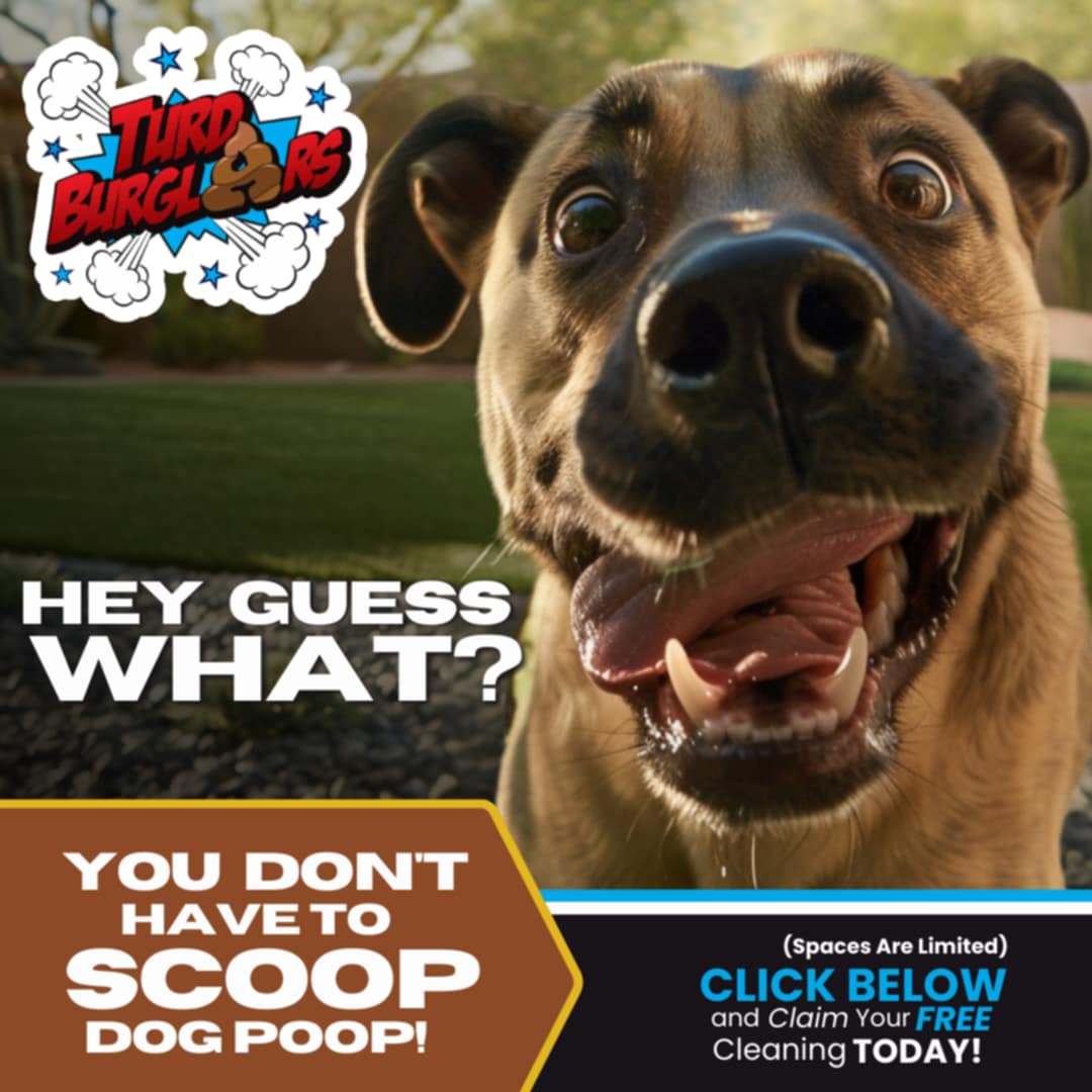 Turd Burglars Landscaping ad creative