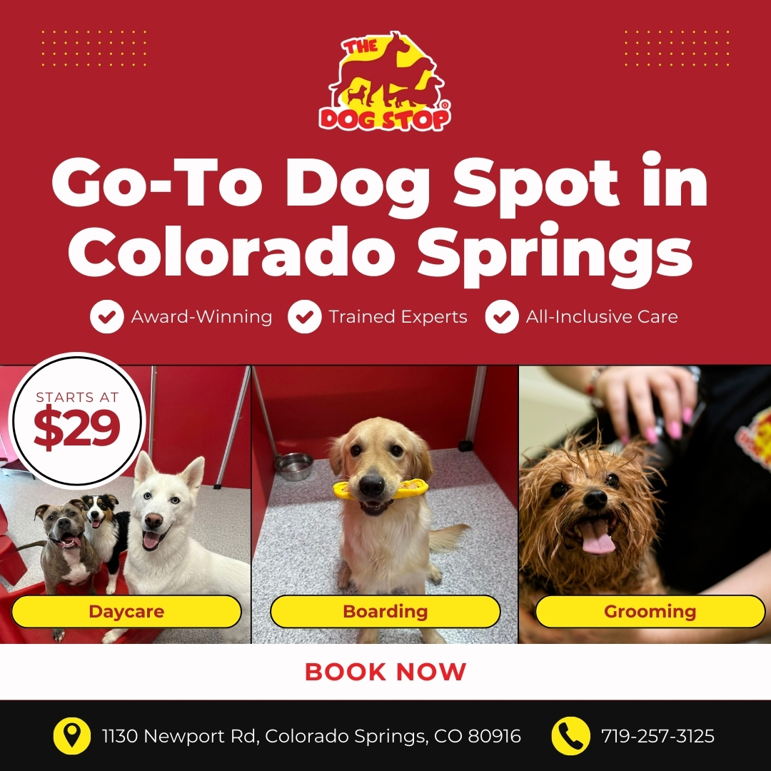 Today’s Pet Care Pick: The Dog Stop®