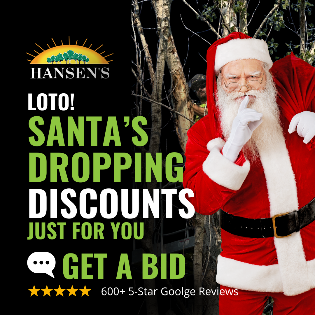 Santa’s Dropping Discounts…On Trees!