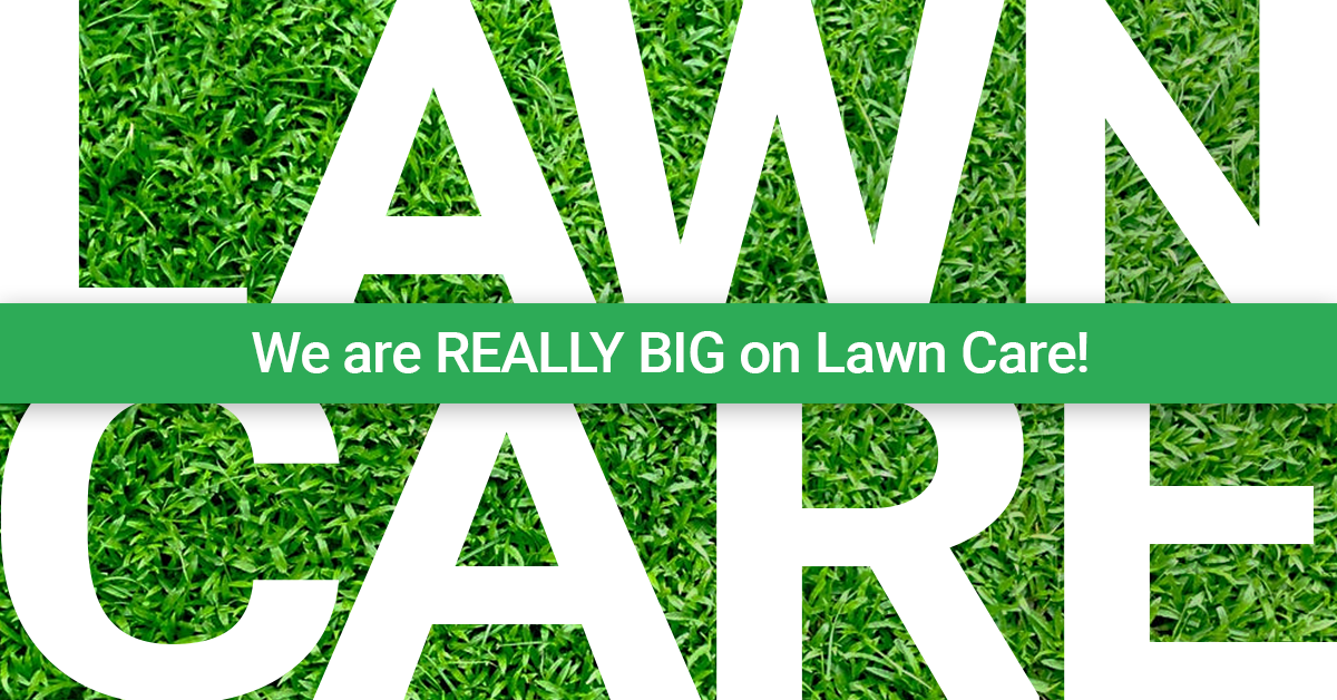 Professional Lawn Care & Landscaping Services