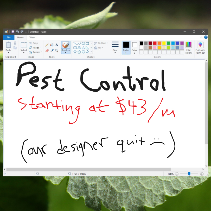 $43/month Pest Control