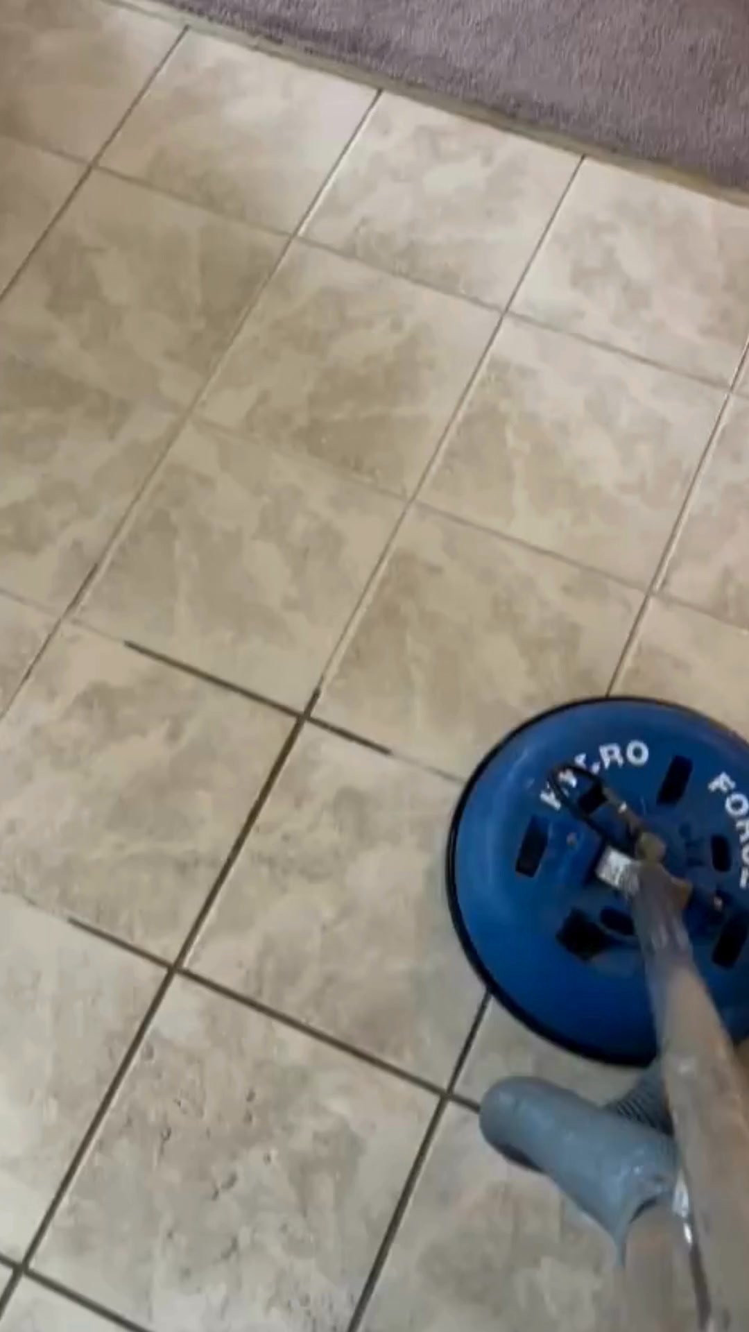 Discover the power of expert carpet cleaning!