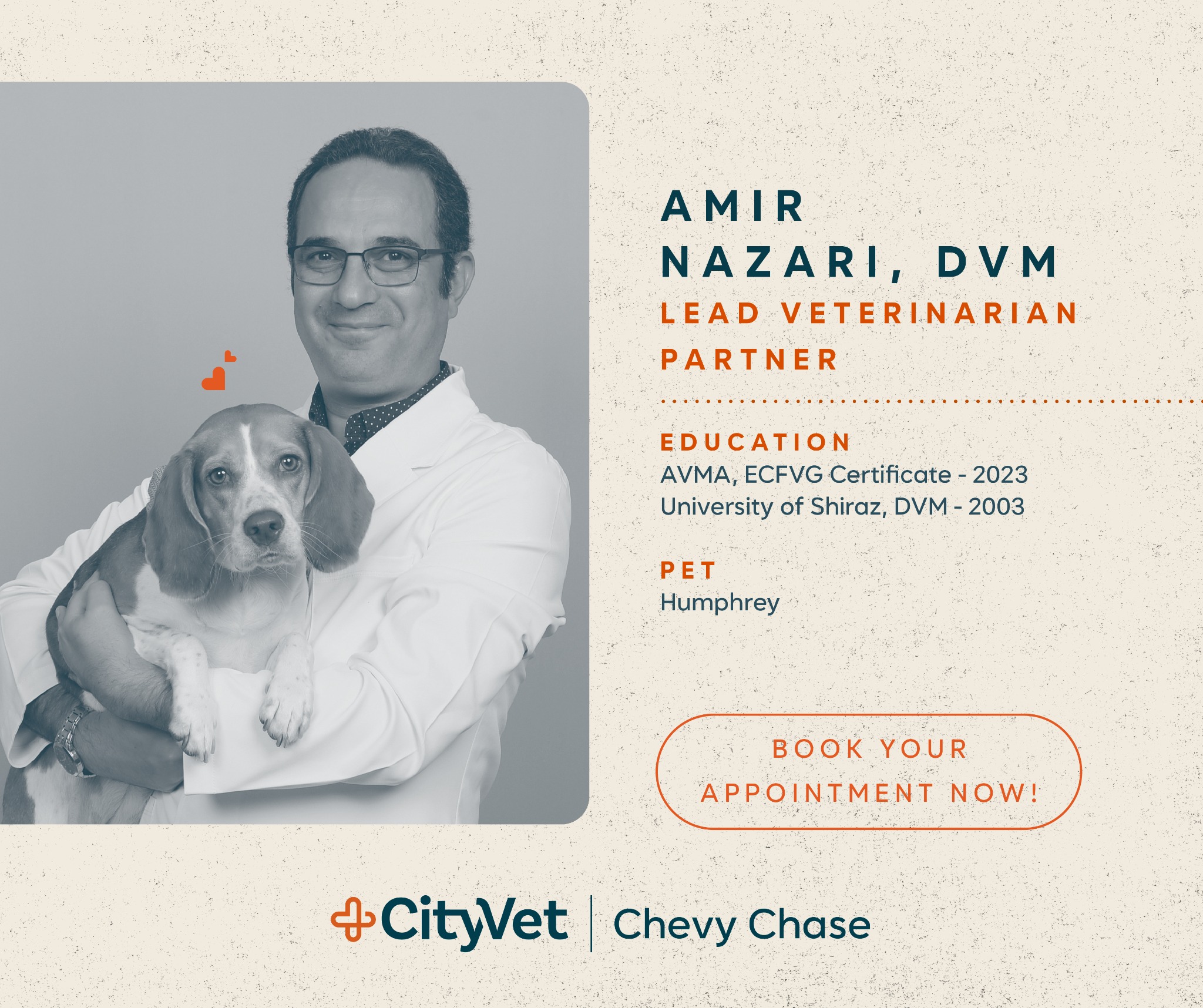 CityVet Veterinarian ad creative