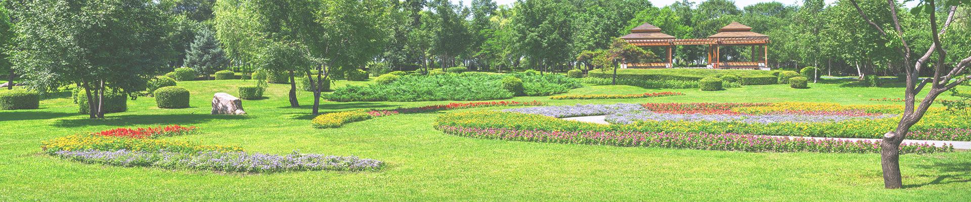 Ace Landscaping & Irrigation Landscaping ad creative