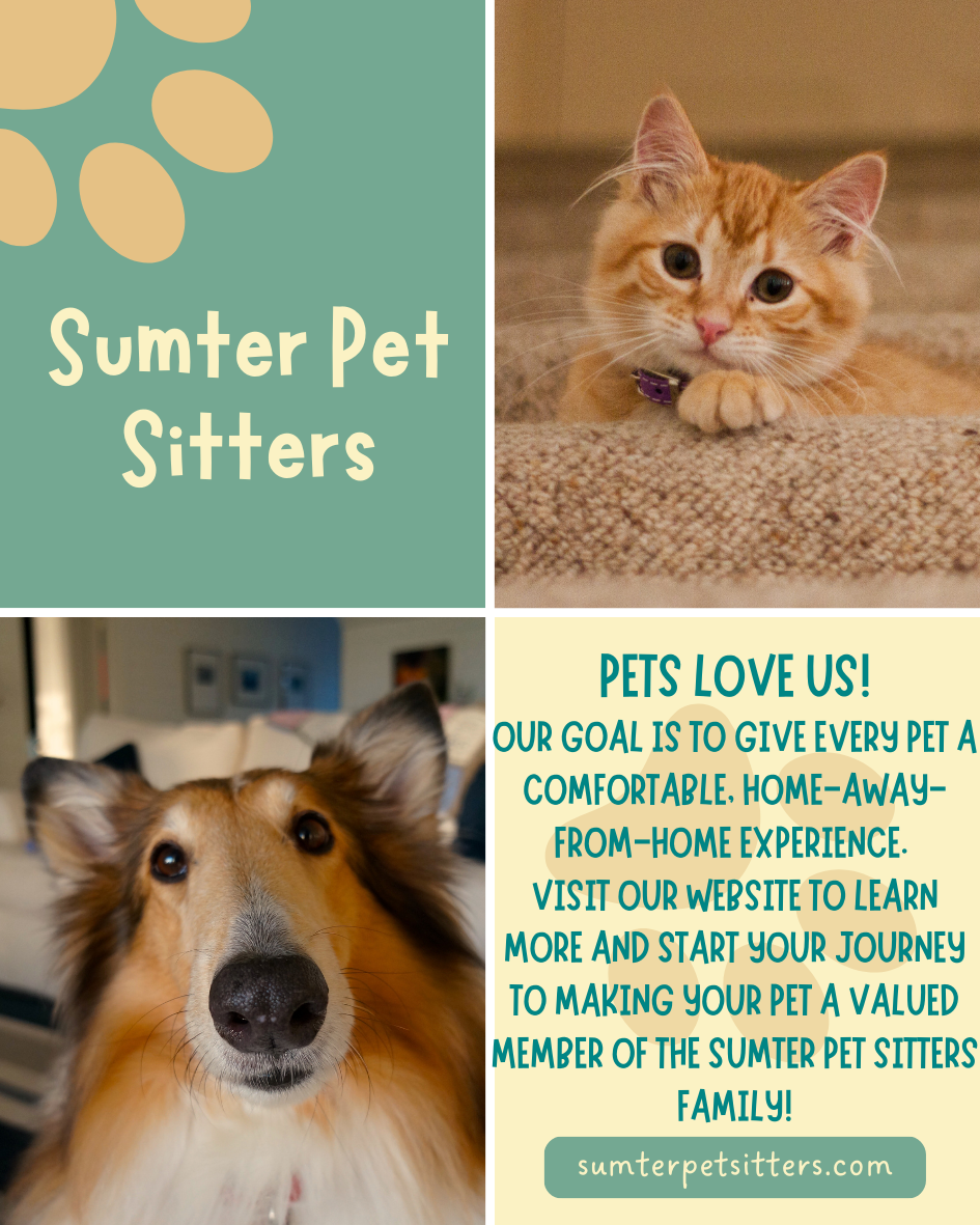Sumter Pet Sitters - We Love Your Pets!
