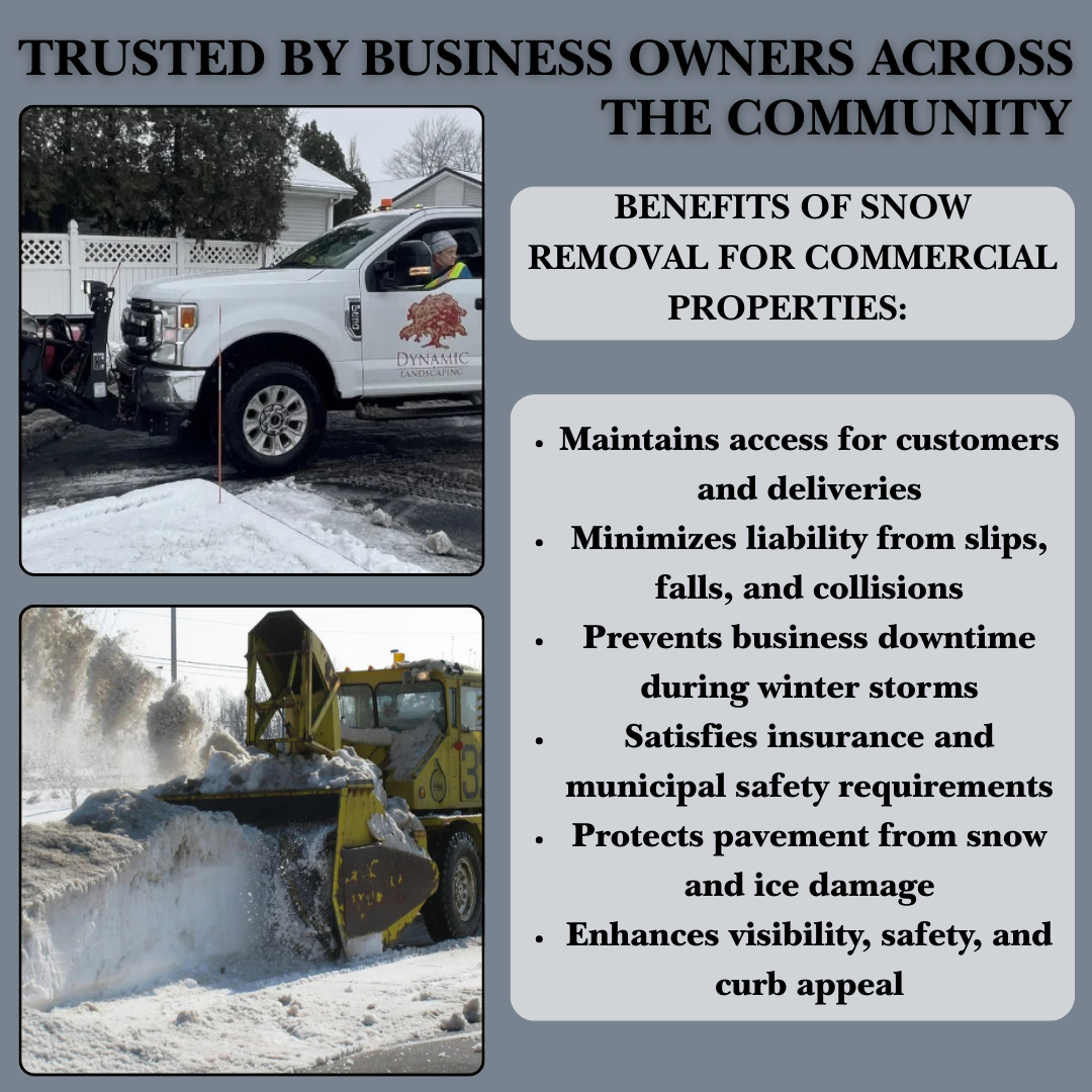 Dynamic Landscaping, Inc. Landscaping ad creative