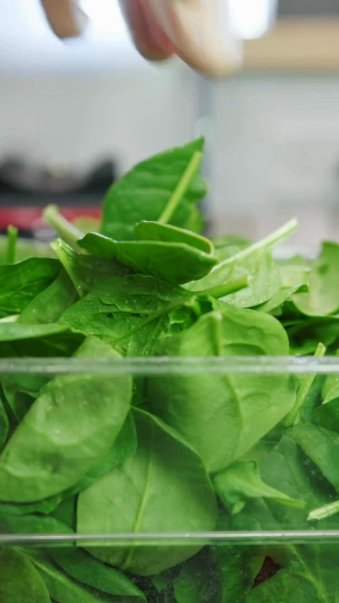 Main Squeeze Juice Co. Juice & Smoothie ad creative