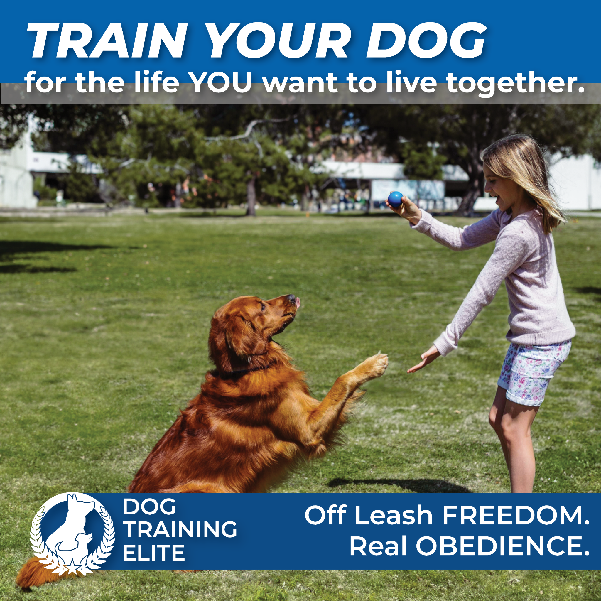 Train your dog for the life you want to live together.