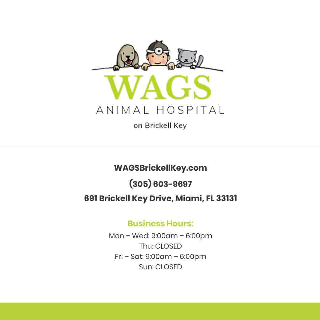 Protect Your Pet with Timely Vaccination.