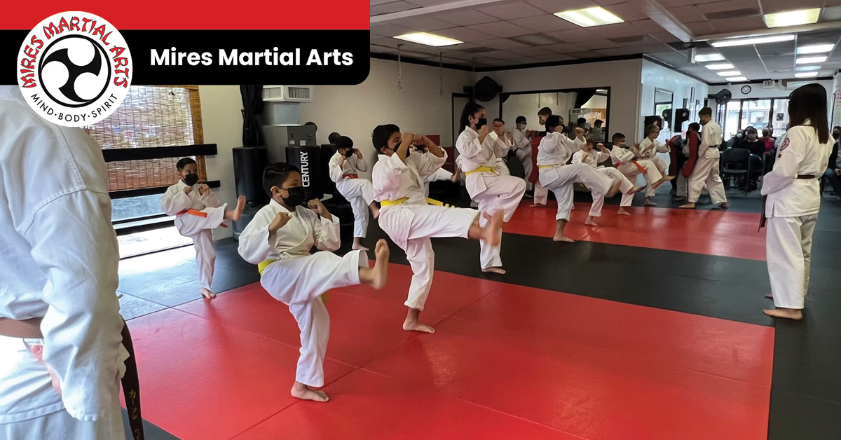 Mires Martial Arts Martial Arts ad creative
